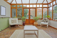 free Patney conservatory quotes